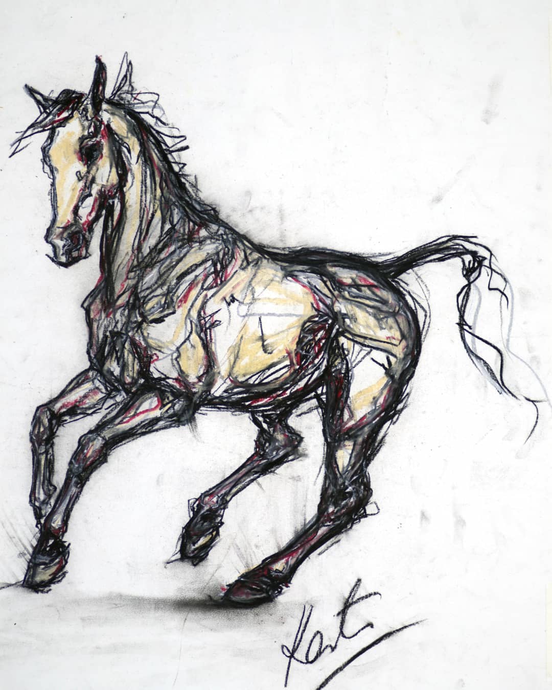 Kate Mieczkowska — charcoal horse study