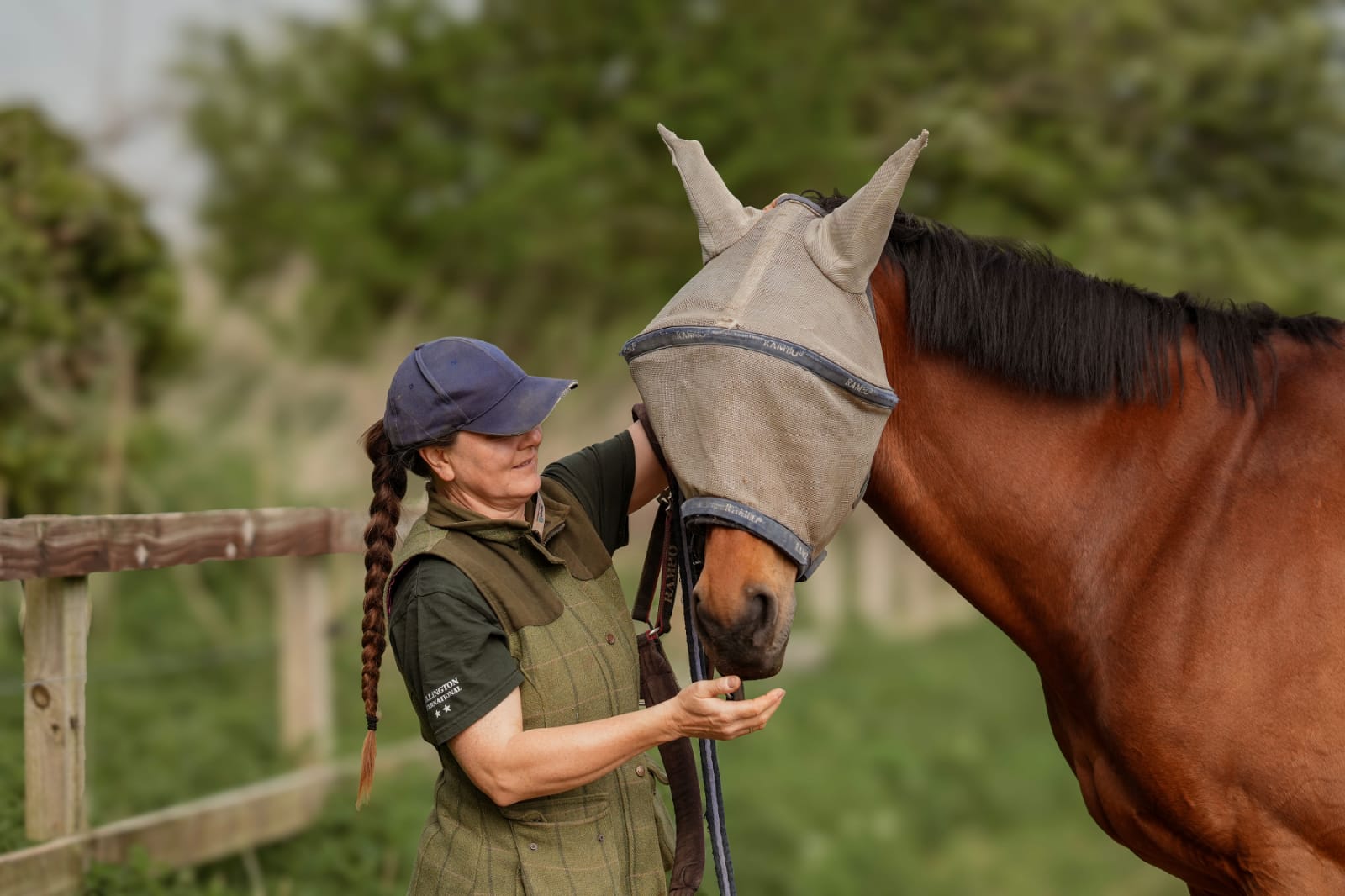 Kate with a horse at the fence