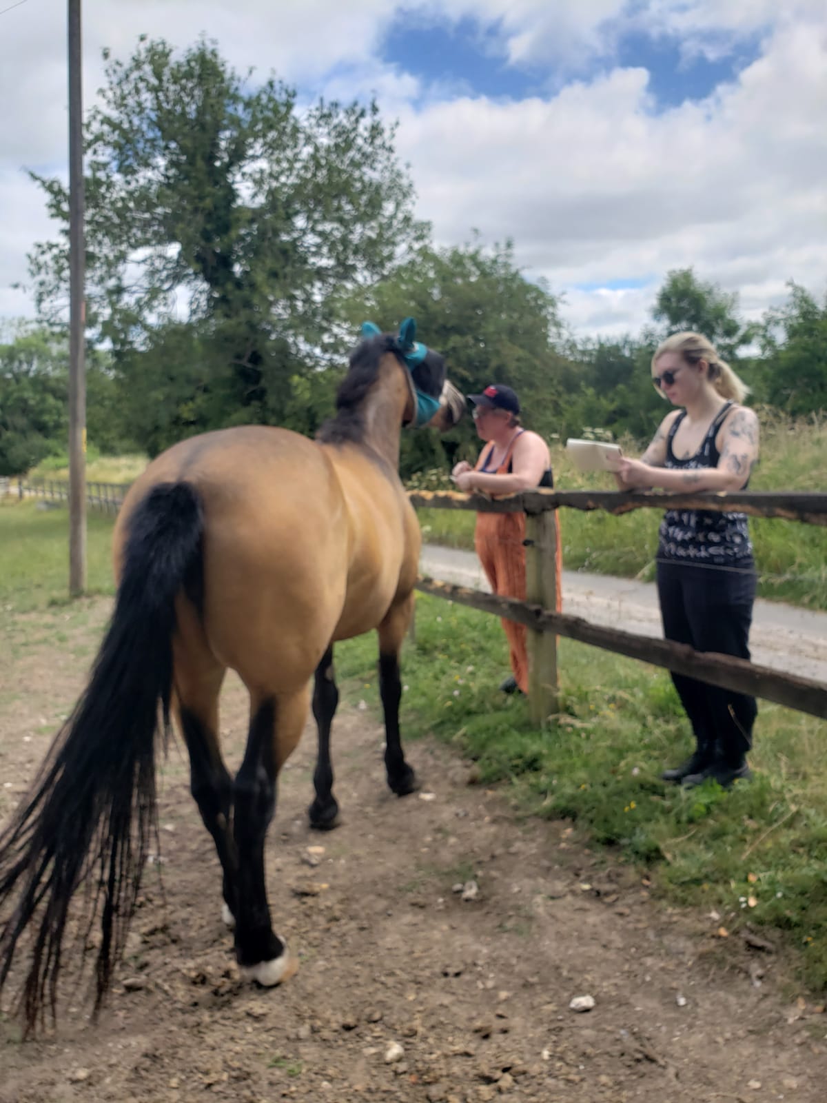 Painting on the Hoof — participants drawing from life at the yard
