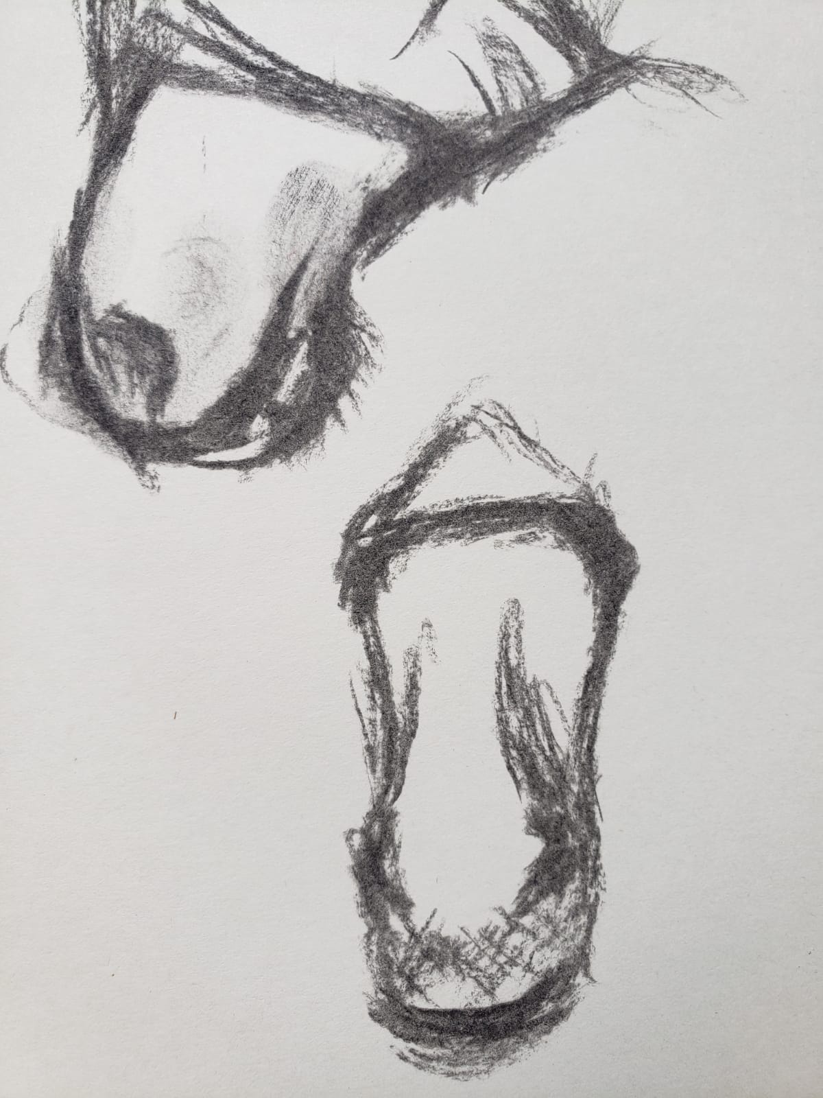 Participant's sketchbook — charcoal hoof studies